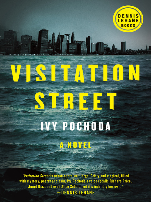 Title details for Visitation Street by Ivy Pochoda - Available